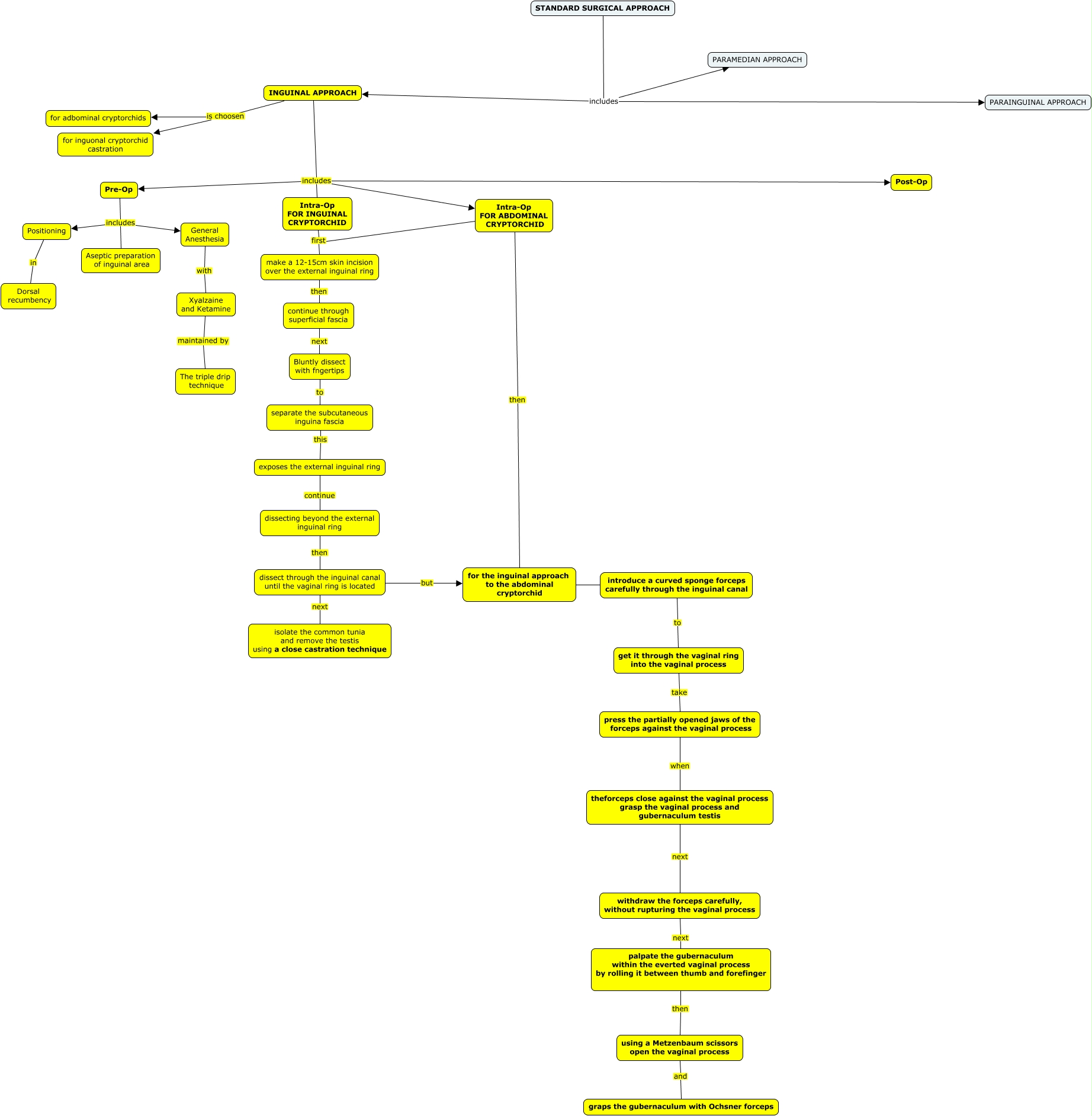 Cryptorchid Surgical Procedure 1